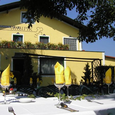 Gasthof Pension Renate Krupik Steinbach  المظهر الخارجي الصورة